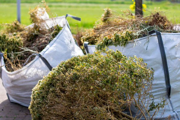 Best Household Junk Removal  in Chicago, IL
